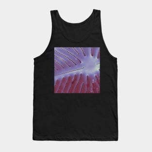 Diatom - Placoneis in SEM (internal, metallic) Tank Top